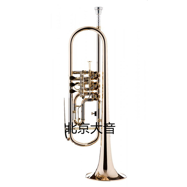 沙格爾 薩爾茨堡 Schagerl Salzburg