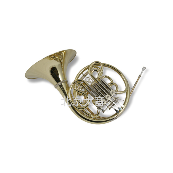 瑞寇 W293 雙排圓號 RiccoKuhn