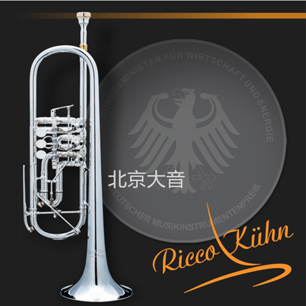 瑞寇 T053 扁鍵小號 RiccoKuhn